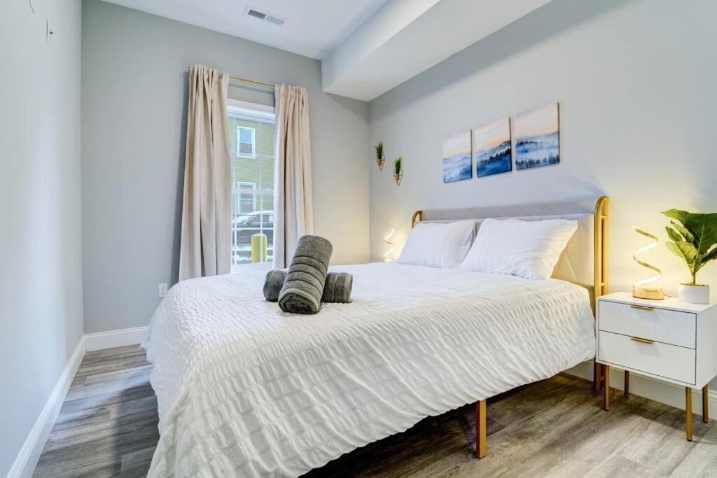 5Min To Yale - Free Parking - Pet Friendly - Shops Lägenhet New Haven Exteriör bild